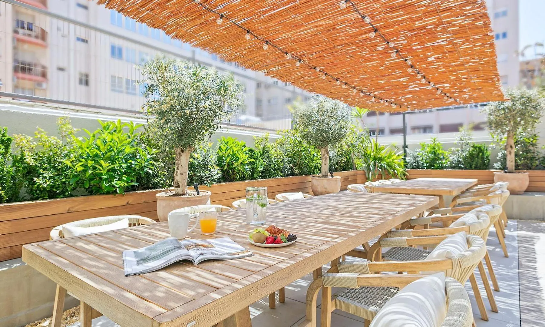 Olivia Barcelona Pansiyon Hostel